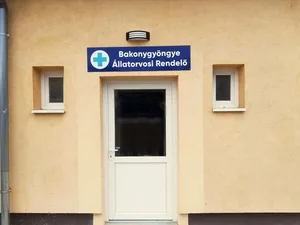 Fotók: