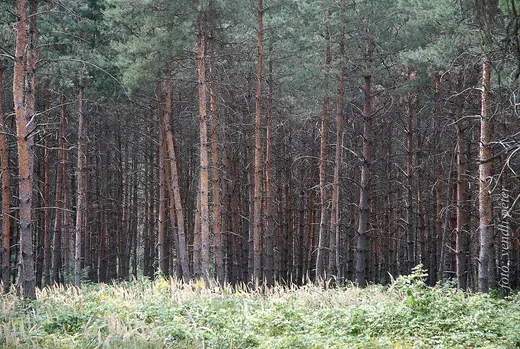 'Köszöntő' cikk borítóképe