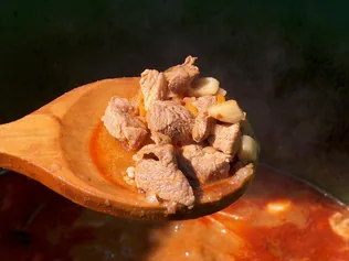 Mozog a falu! borítóképe