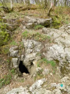 Galéria