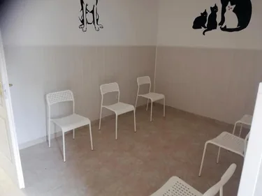 Fotók: