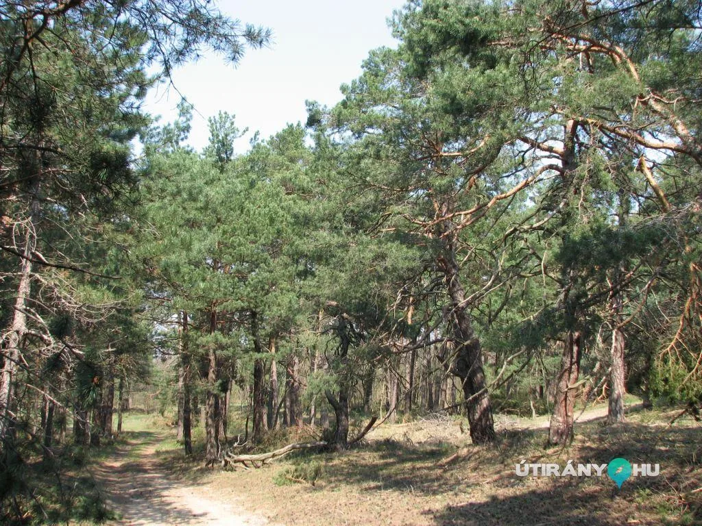 Galéria