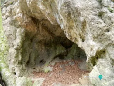 Galéria