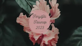 Fenyőfői Falunap 2023 borítóképe
