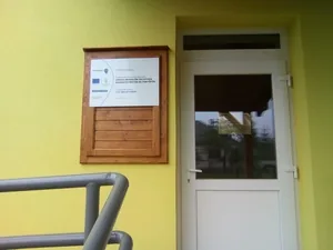 Fenyőfő