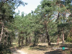 Galéria