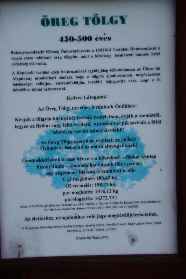 Öreg Tölgy
