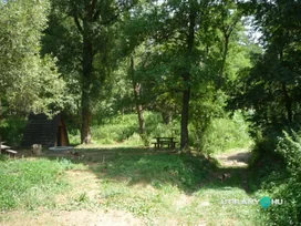 Pakuts pihenő borítóképe