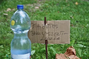 2019 Főzőverseny.