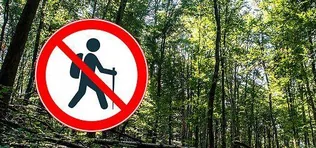 Erdőlátogatási korlátozás borítóképe