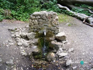 Galéria