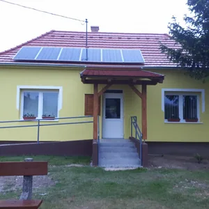 Fenyőfő