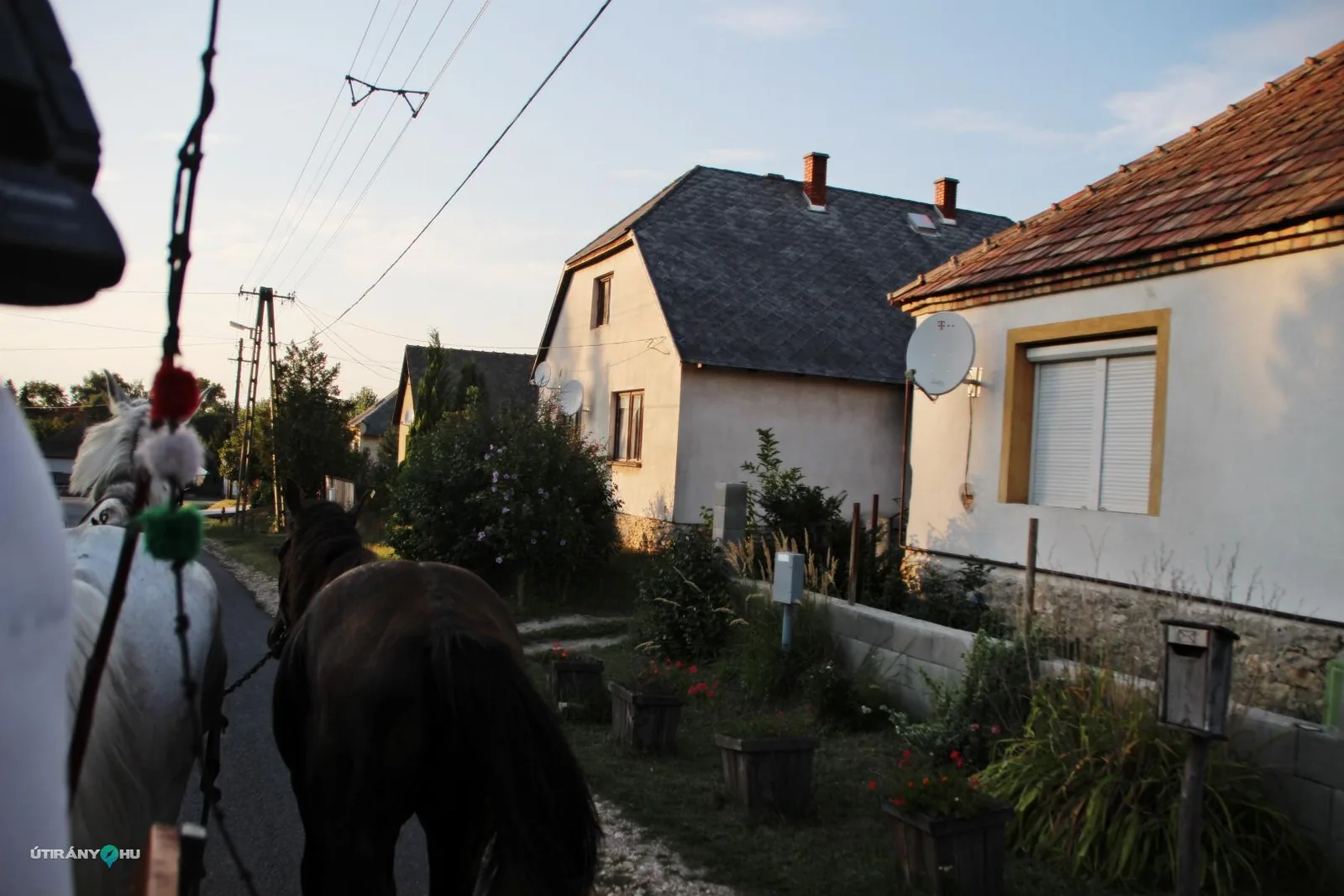 2019 Főzőverseny. 